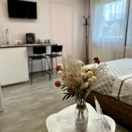 Appartement Millesime